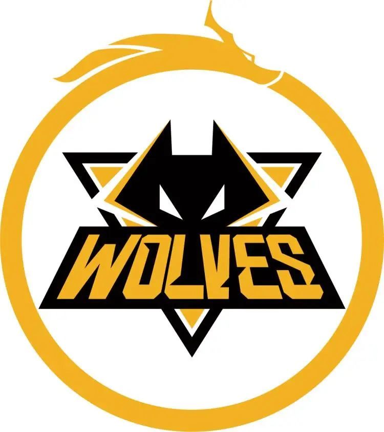 WE官方：前iG打野 Tianzhen 加入团队